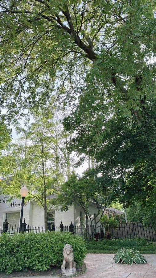 The Ginkgo Tree Panzió Mount Pleasant Kültér fotó
